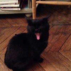 laetitia_astolfi avatar