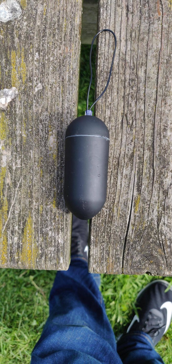 Walking The Dogs When One Of Them Bought This To Me. 2 Aa Batteries Inside It, Black Plastic And Doesnt Appear To Have Any Function. What Is This Thing?