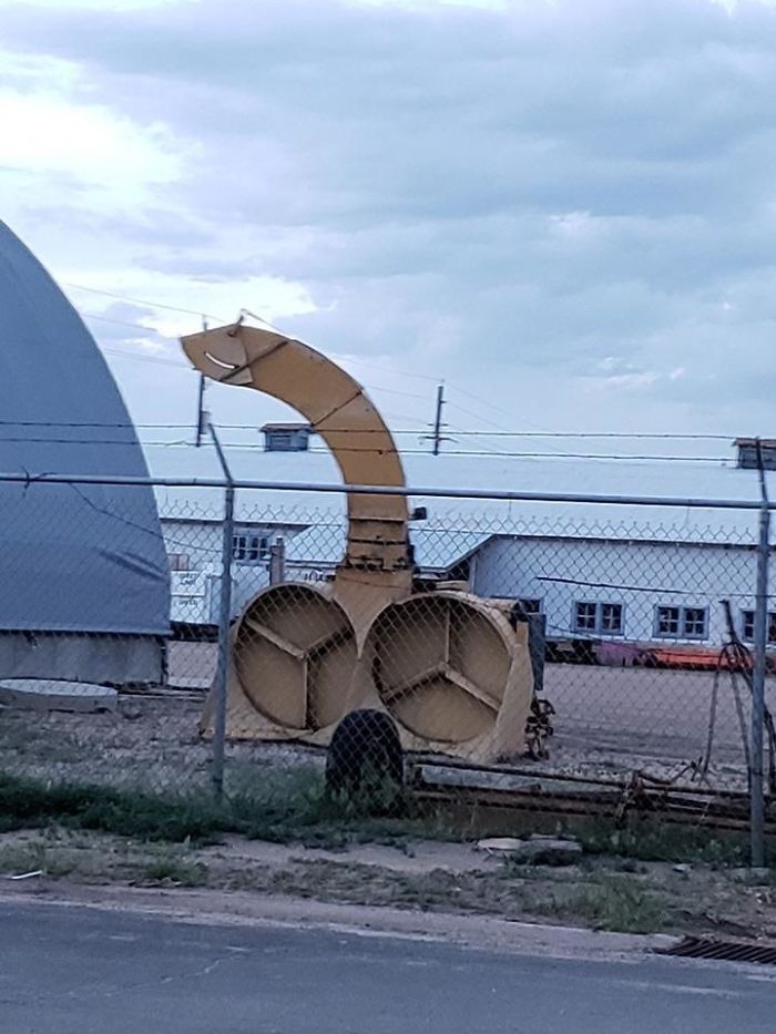 Literally Any Explanation Will Do. What Is This Thing?