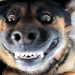 mstrdestroyer avatar