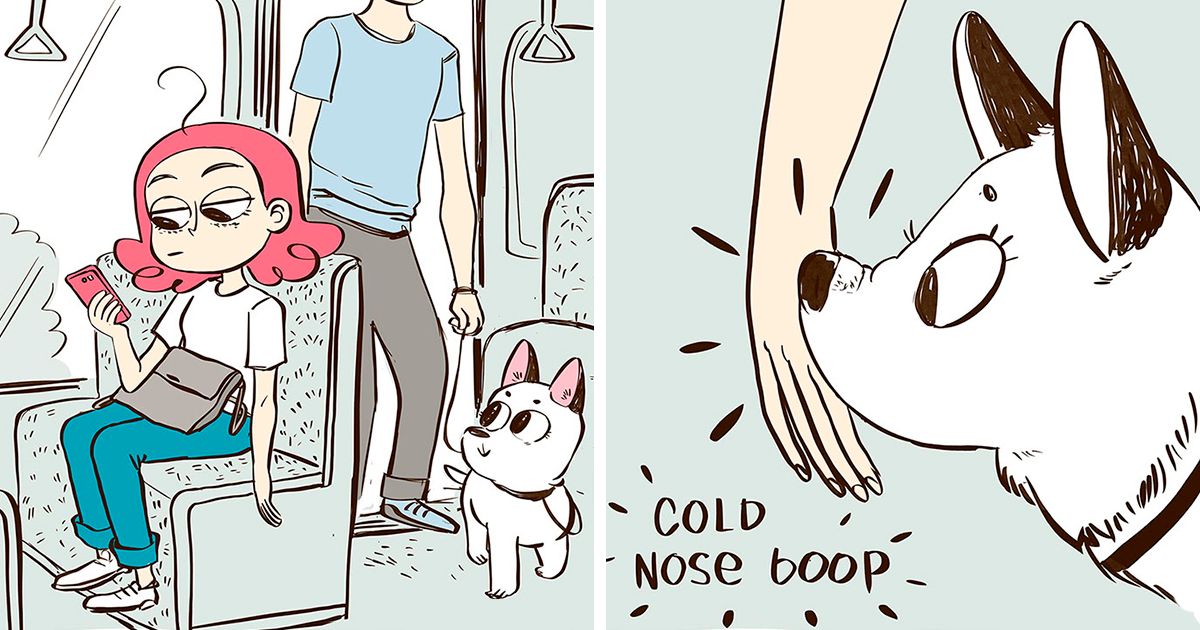 My 13 Wholesome Comics About Cats And Dogs