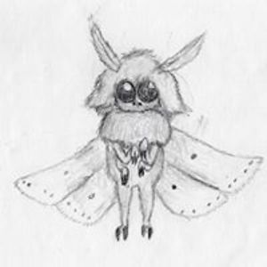 slowthypiglord avatar