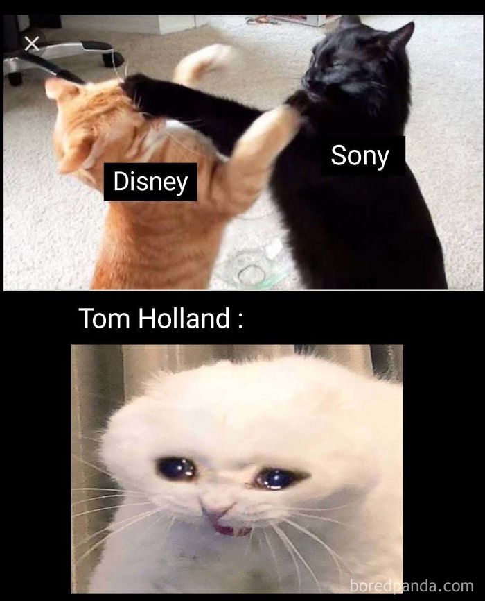 Spider-Man-Leave-Marvel-Disney-Sony-Split-Reactions