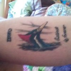 byrdwatcher17 avatar