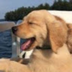 haleighwebster avatar