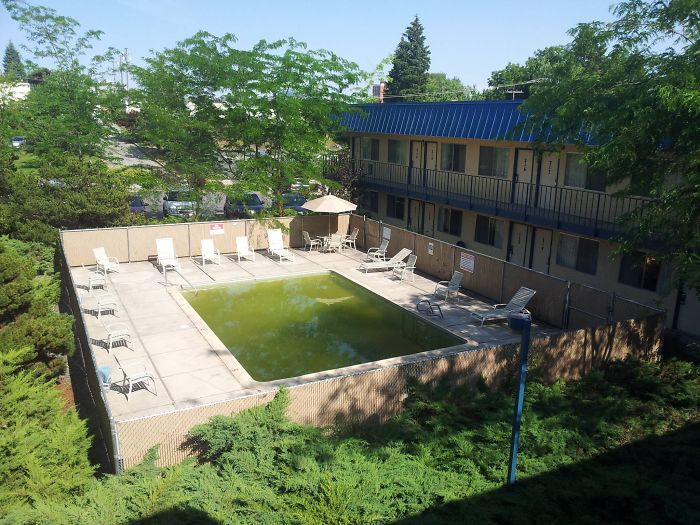 This Is The Pool At My Hotel