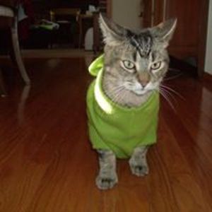 queenswayclean avatar