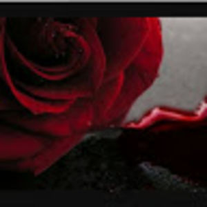 lonelyghosttown avatar