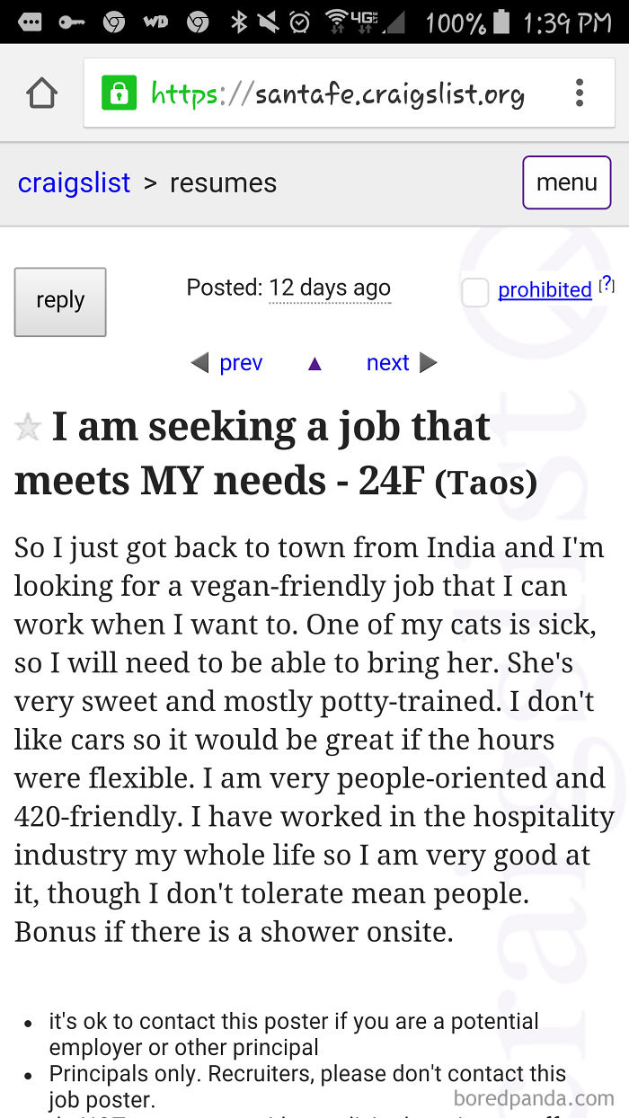 Found This Job Seeker On Craigslist