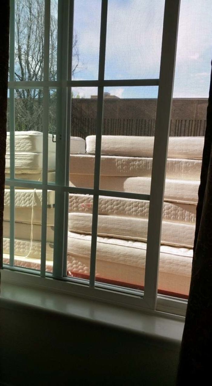 Breath Taking View Out Of My Hotel Window In Denver