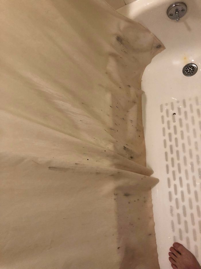 Flight Delayed Another Day In Little Rock. My Shower Curtain At Hotel Near Airport