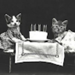 rilalabingbing avatar