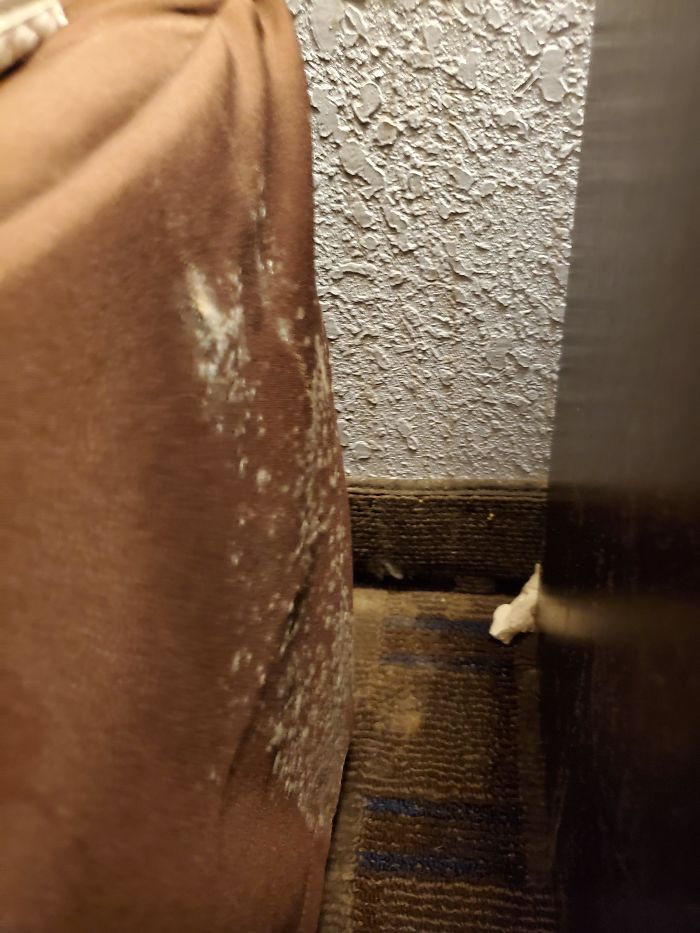 Walked Into My Hotel Room