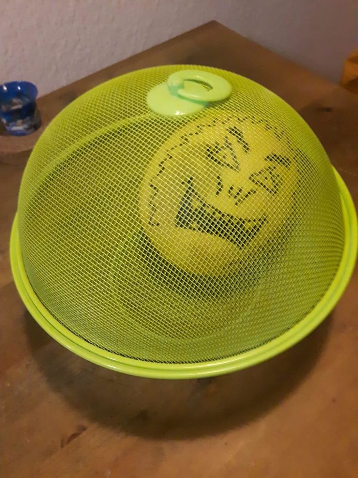 My Boyfriend Draws Faces In The Vegetables And Fruits That I Bought But Forgot To Eat