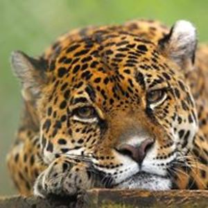 spiderhateswoman_1 avatar