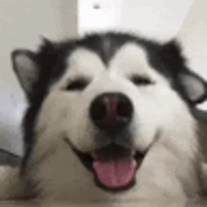 evelynnreichel_1 avatar