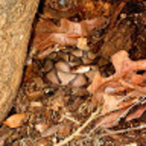 3030winwin3030 avatar