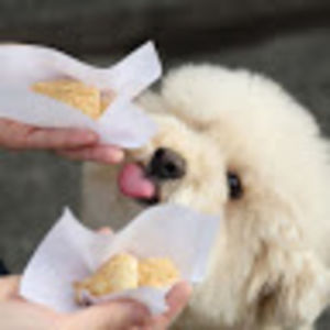 aleksandrakarb avatar