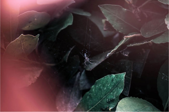 Unfortunately, The Day Was Cloudy