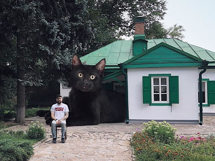 Russian-Artist-Photoshops-Giant-Cats-Odnoboko
