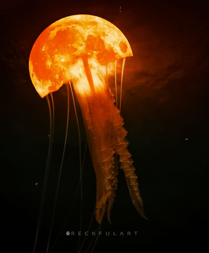 My World Surreal Art My World Surreal Art