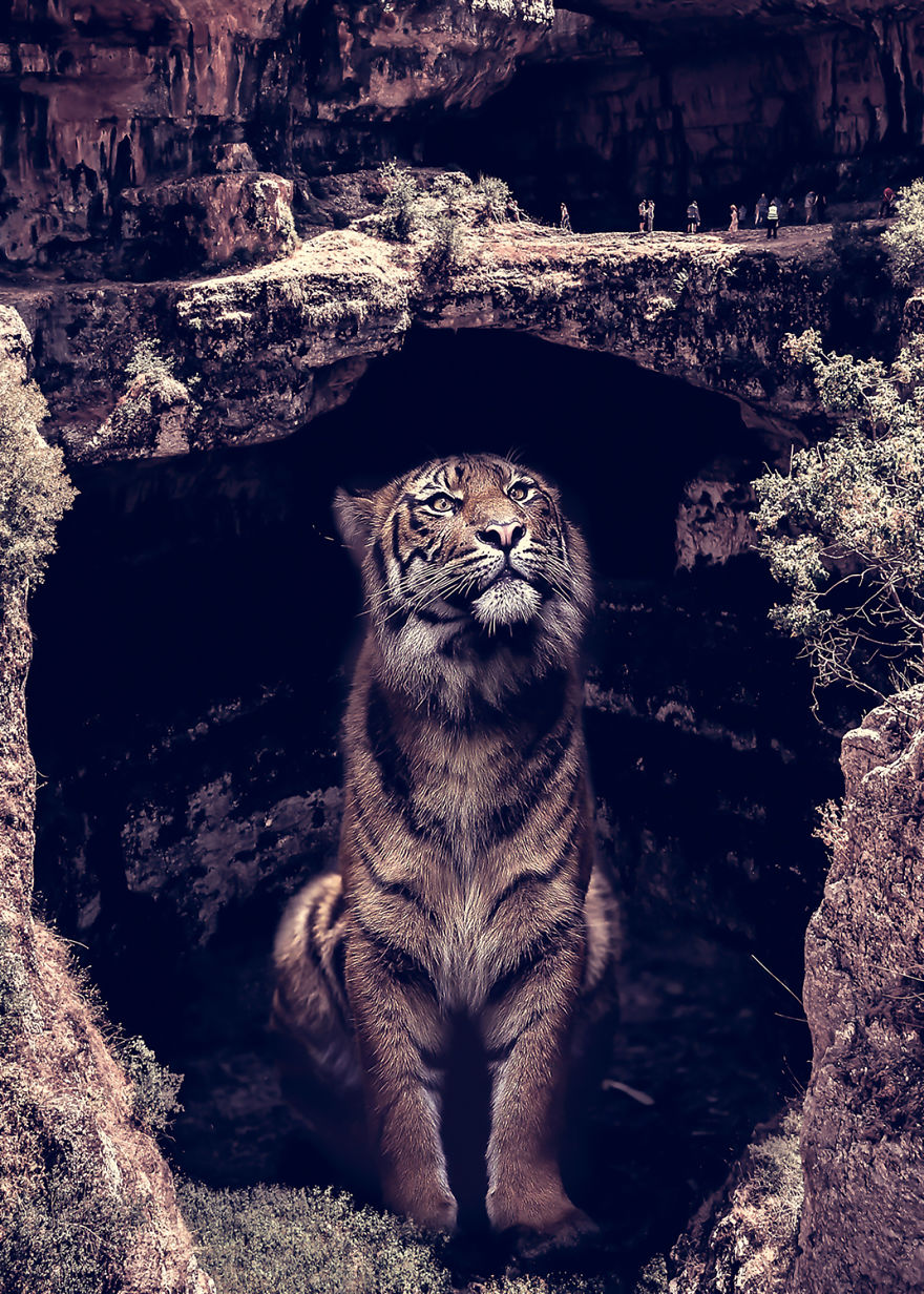 My World Surreal Art