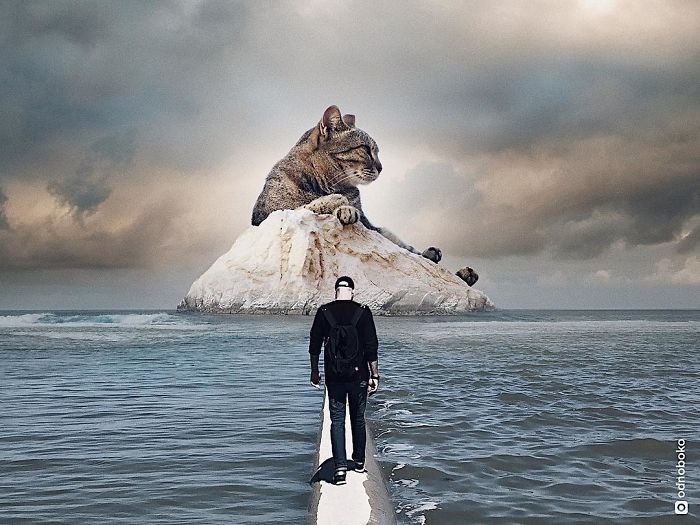Russian-Artist-Photoshops-Giant-Cats-Odnoboko