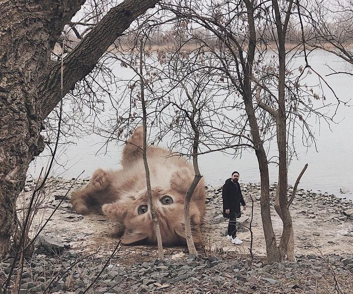 Russian-Artist-Photoshops-Giant-Cats-Odnoboko