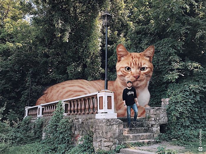 Russian-Artist-Photoshops-Giant-Cats-Odnoboko