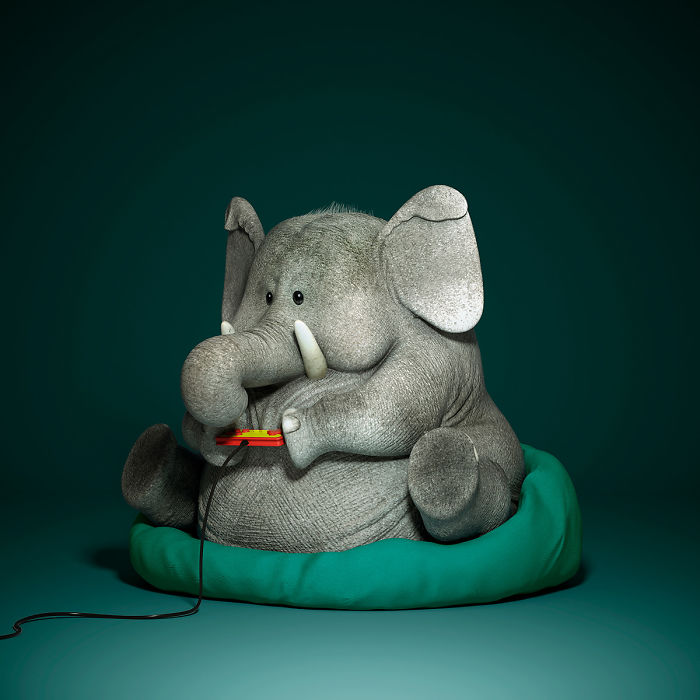 The Lovely Lazy Animals Of A Chinese Artist