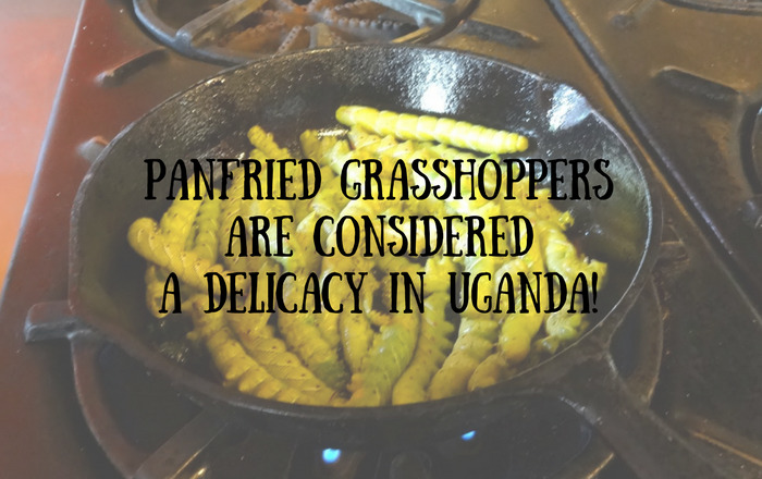 Interesting Facts About Uganda That You Must Know!