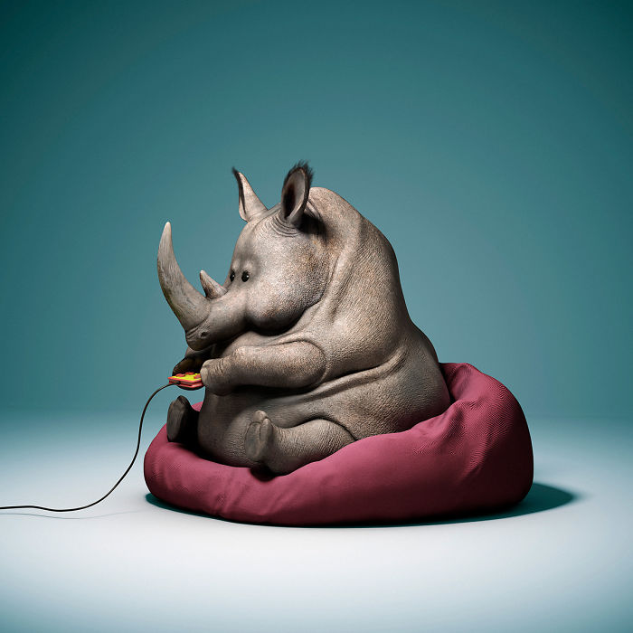 The Lovely Lazy Animals Of A Chinese Artist