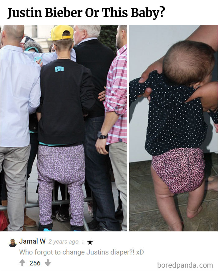 Here Is Bored Panda's Hall Of Fame With The 50 Most Hilarious Comments