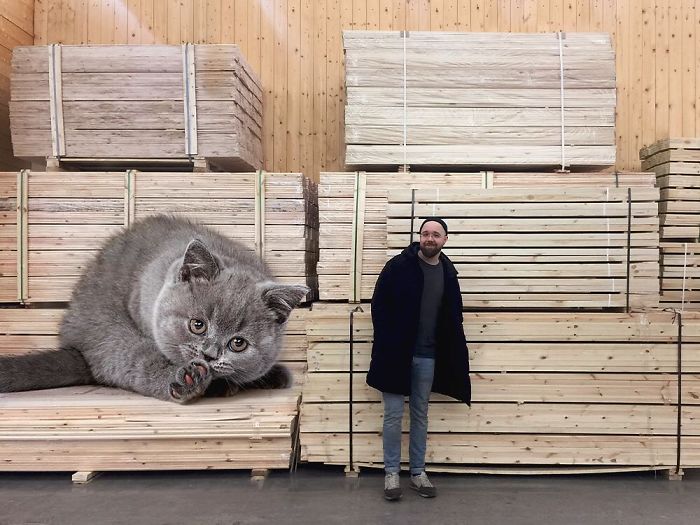 Russian-Artist-Photoshops-Giant-Cats-Odnoboko