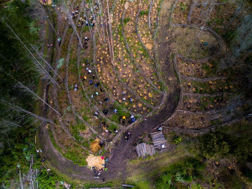 Greenpop Wants To Help Save The Planet With Their Goal Of Planting 500,000 Trees By 2025 In South Africa Greenpop Wants To Help Save The Planet With Their Goal Of Planting 500,000 Trees By 2025 In South Africa