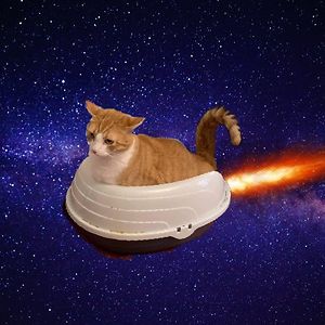 courtney_butzko avatar