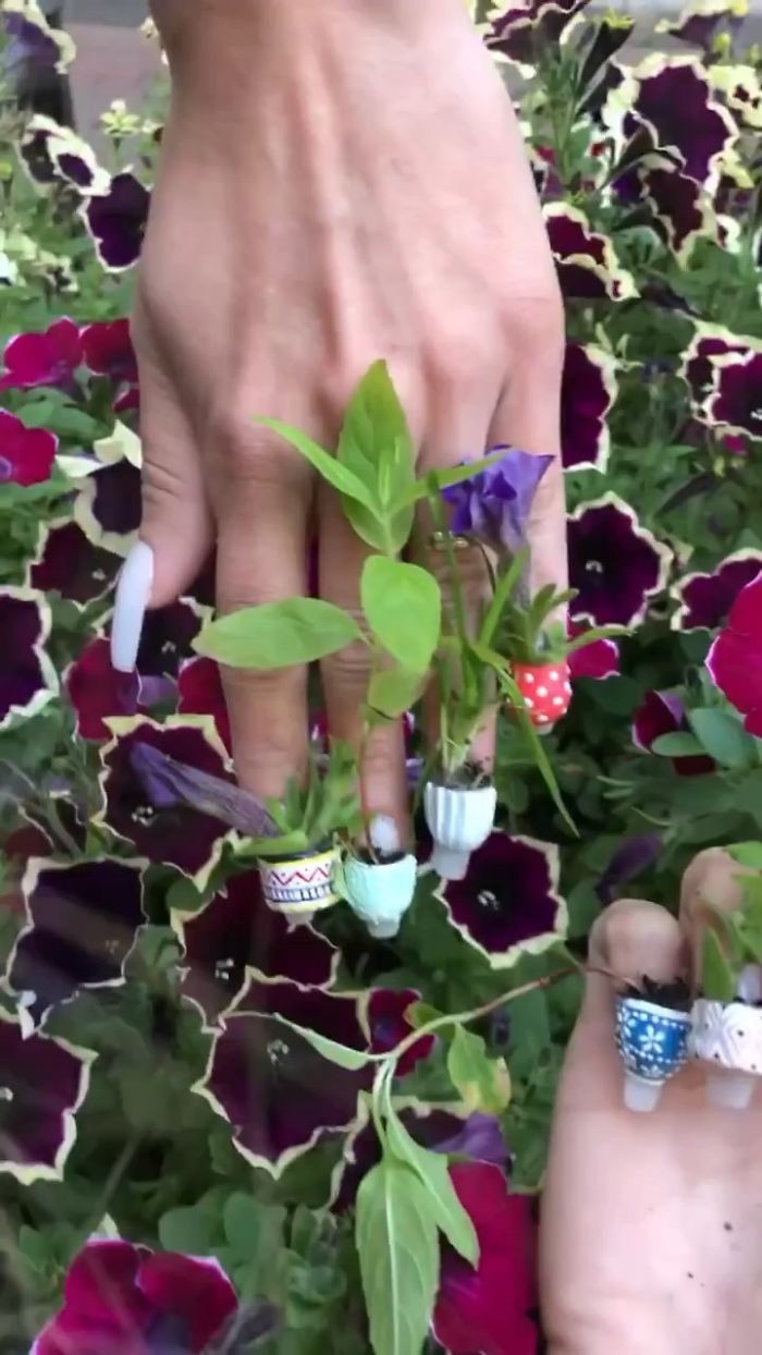 Plant Nails