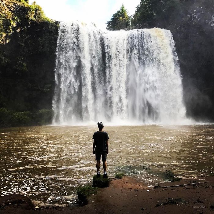 Whangarei Falls