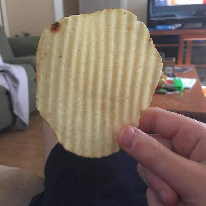 Won The Food Lottery