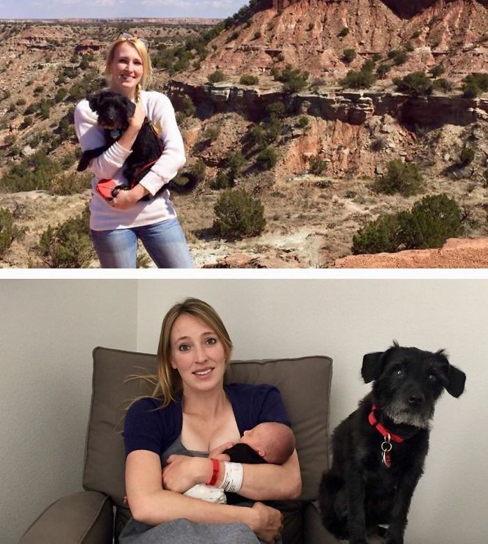 Omg This Dog Has Been Through Hell. Welcome To The Party, Pup!