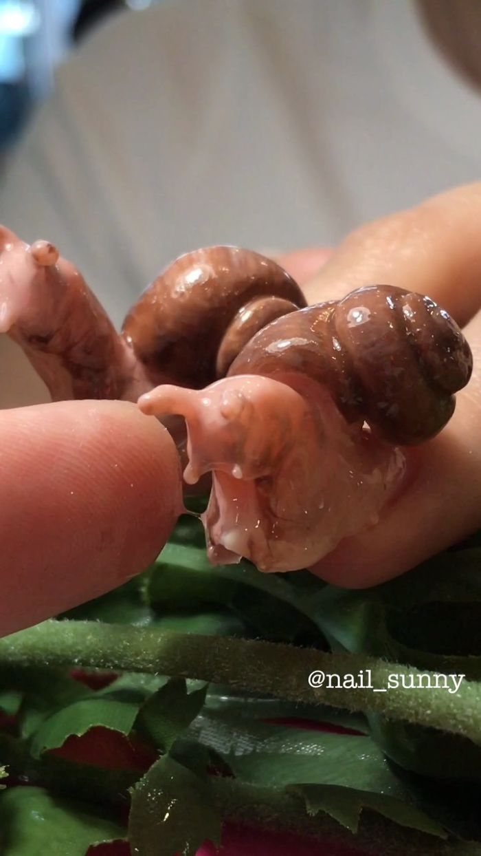 Snail Nails