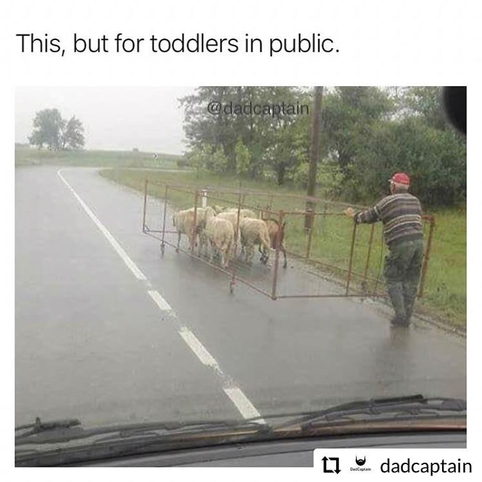 People-Dont-Want-Kids-Funny-Memes