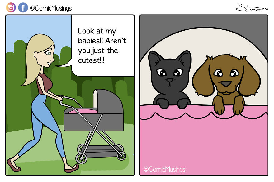 Just A Crazy Pet Mom Out With Her Babies!