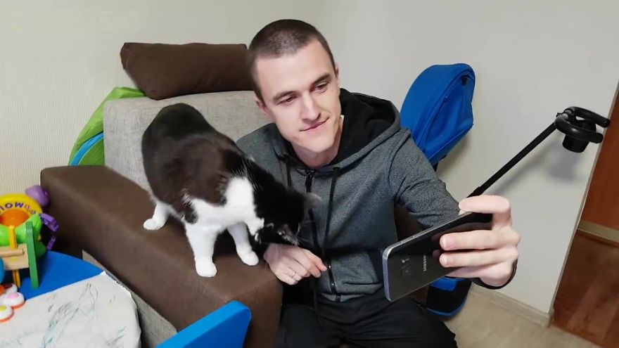 There's A Cat Selfie Device That Will Make Your Photos With Your Cat Simply Purrfect