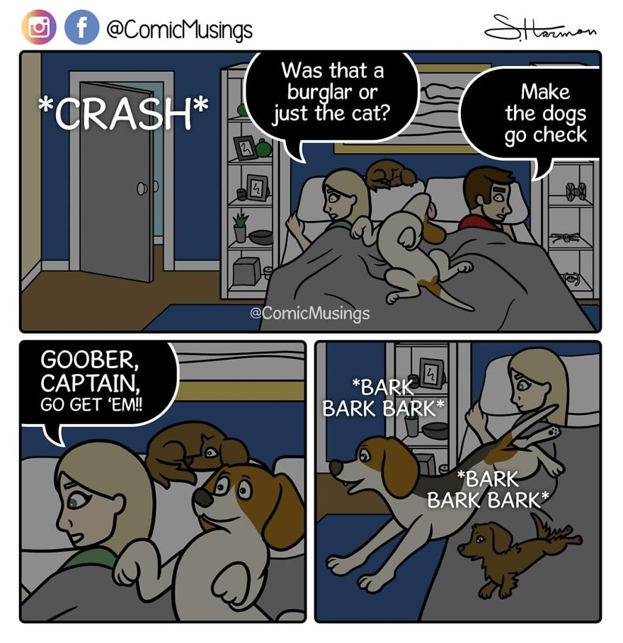 When You Have Dogs, You Make Them Go Check On Things That Go Bump In The Night!