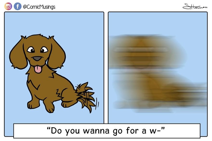 “Do You Want To Go For A Walk?” Are The Magic Words That Get Goober Going!