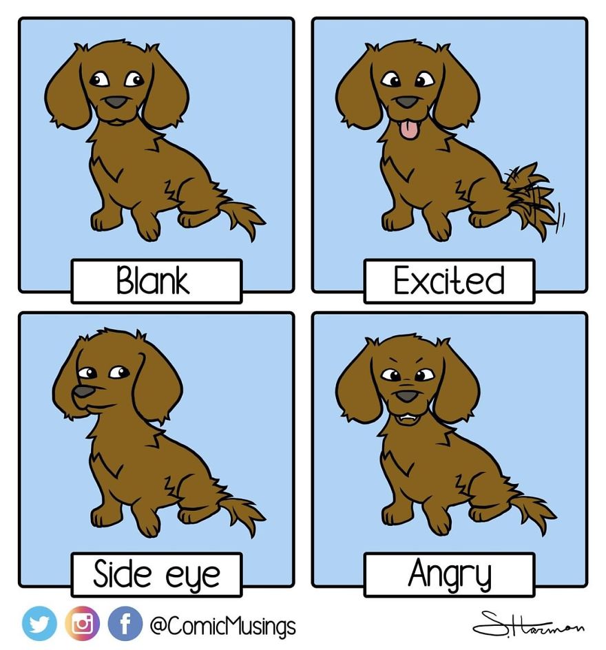 My Dog Goober Has Four Expressions