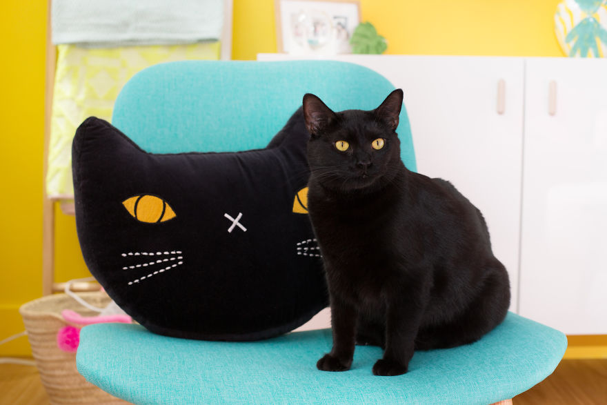 I Photograph Ladies With Their Cats To Debunk The Crazy Cat Lady Stereotype, And Here Are My Favorite Photos (16 Pics) I Photograph Ladies With Their Cats To Debunk The Crazy Cat Lady Stereotype, And Here Are My Favorite Photos (16 Pics)