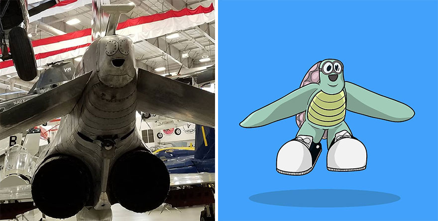 Plane Turtle