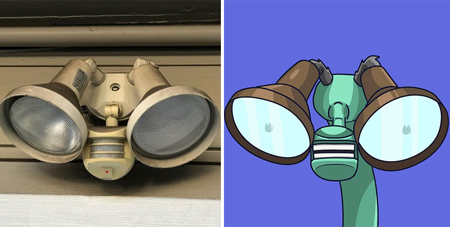 Motion Mantis Francis